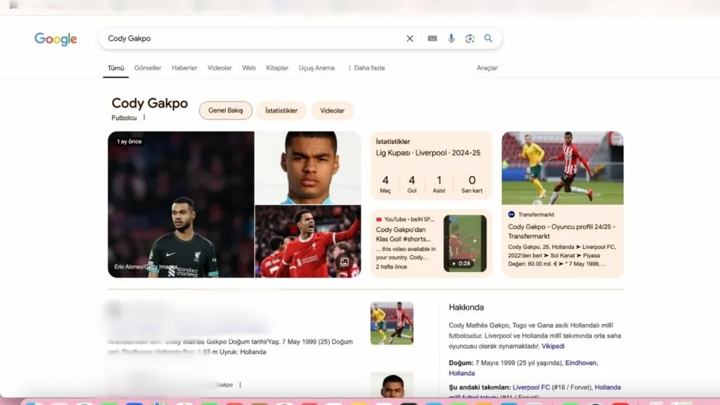 Google AI Genel Bakışları